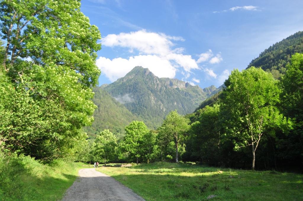 valle de toran