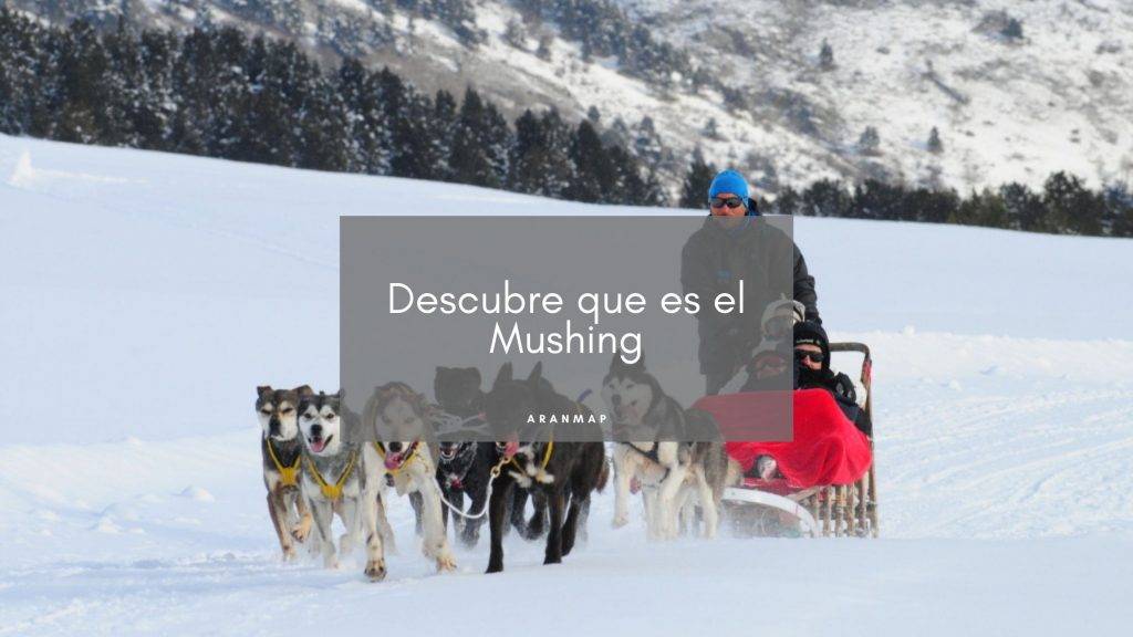 Trineos con Perros Baqueira