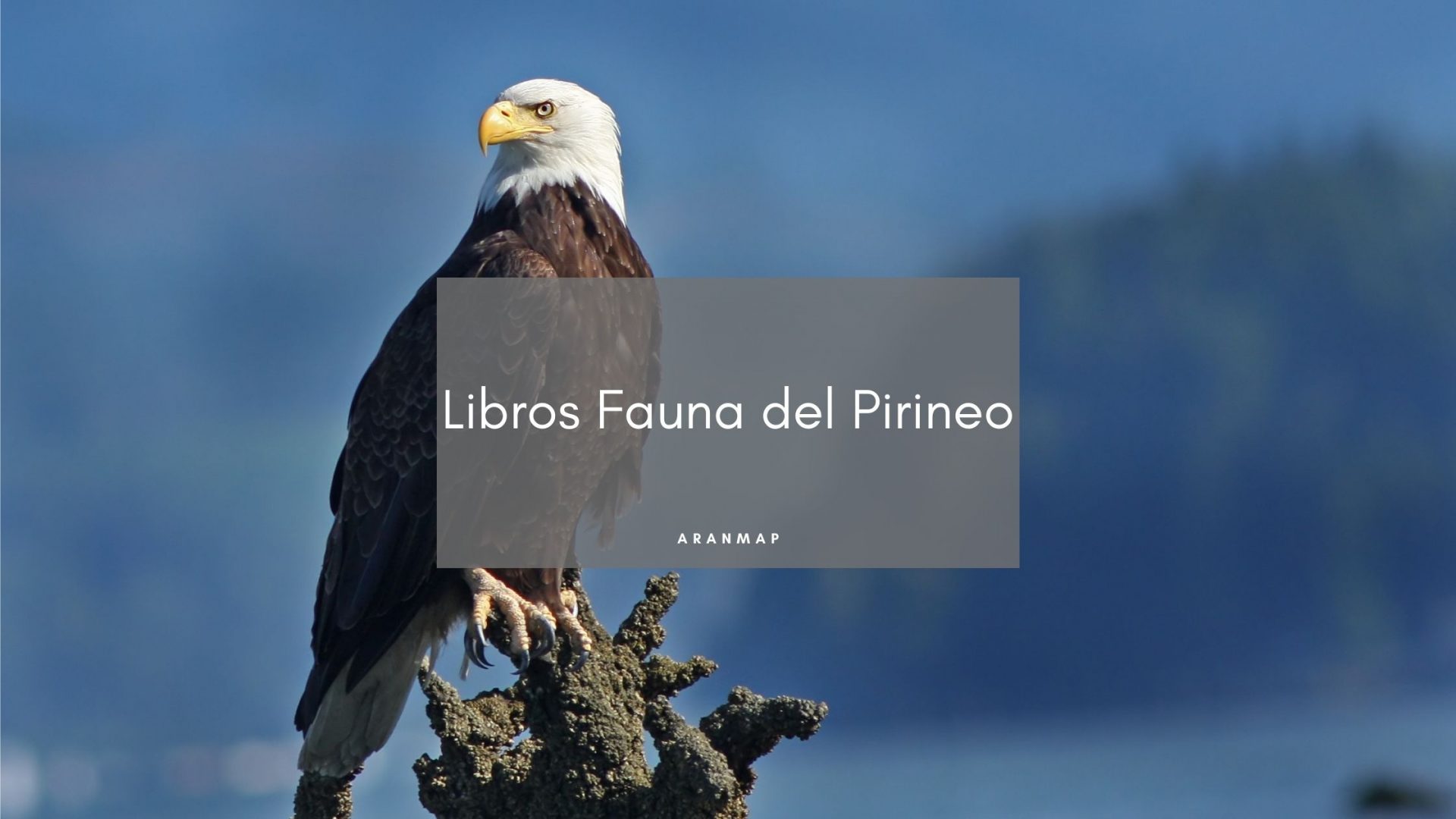 Los Libros sobre la fauna de los Pirineos