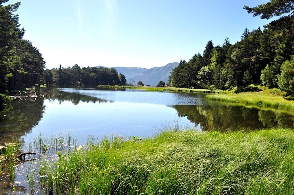 Visita la Bassa d’Oles un oasis de naturaleza en los Pirineos