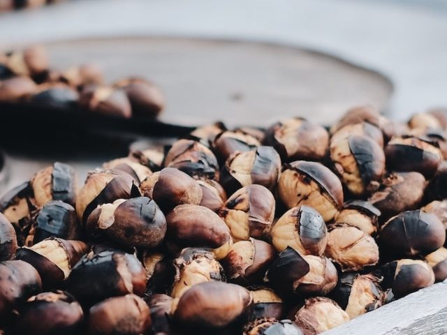 Castañada en el Valle de Arán