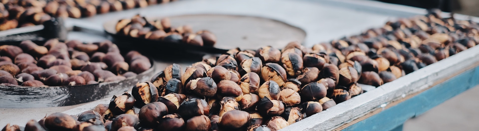 Castañada en el Valle de Arán